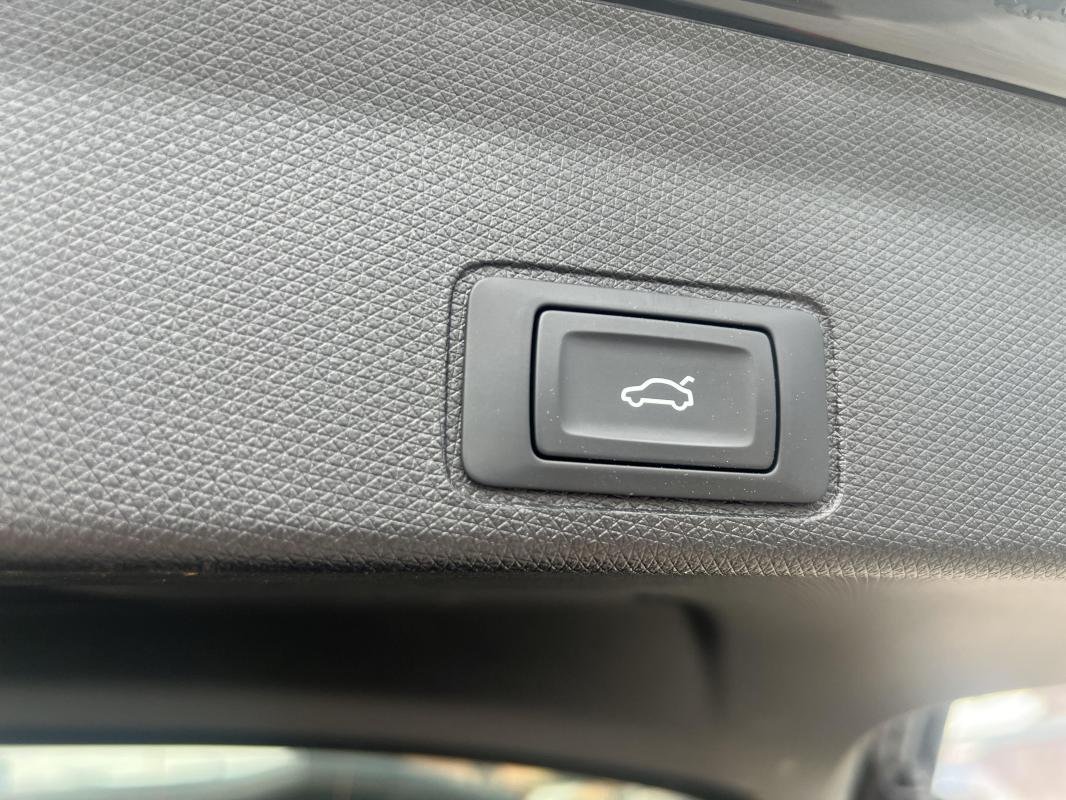 Cupra Terramar - Photo 19