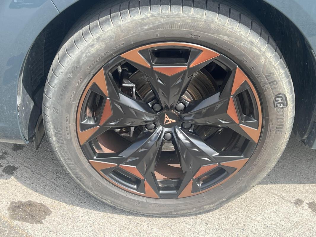 Cupra Terramar - Photo 5