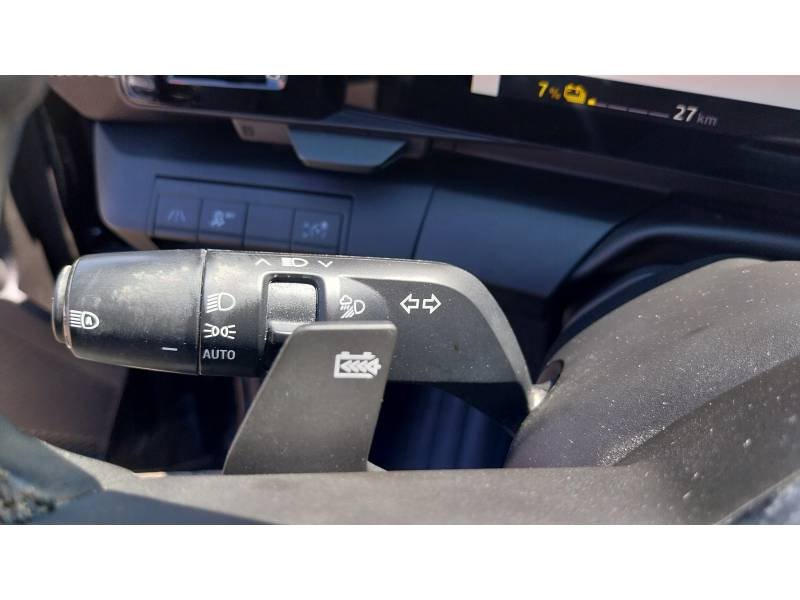 Renault Mégane - Photo 45