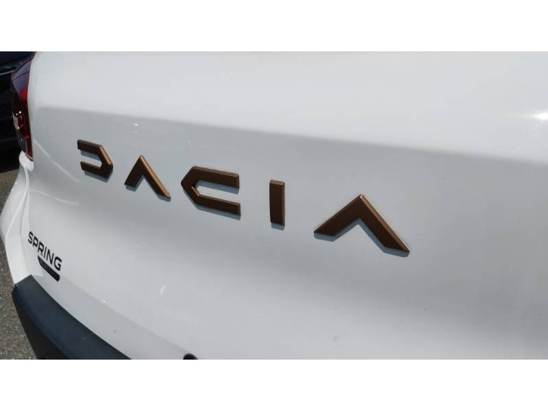 Dacia Spring - Photo 19