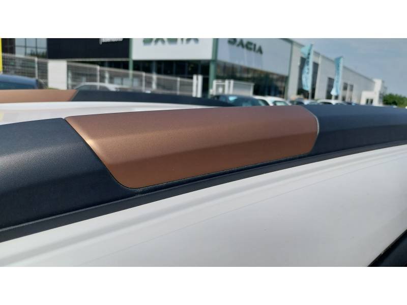 Dacia Spring - Photo 23