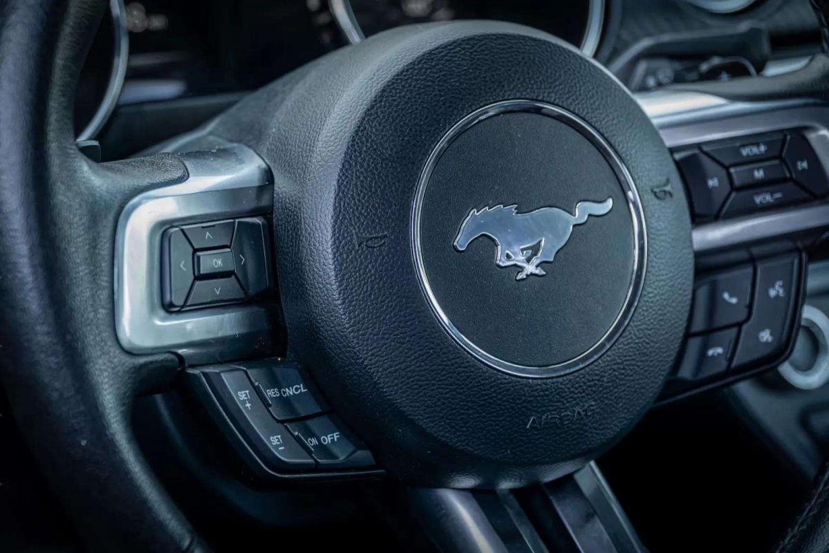 Ford Mustang - Photo 11