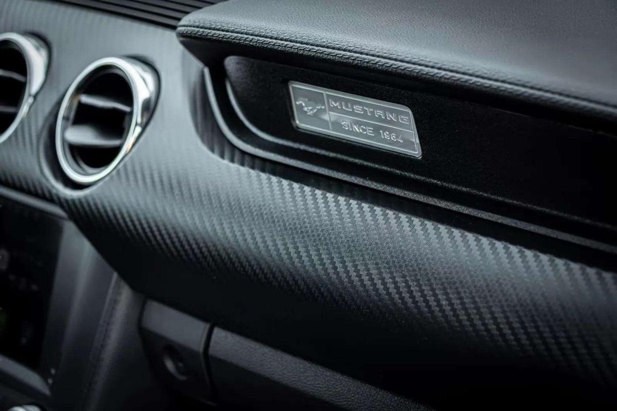 Ford Mustang - Photo 12