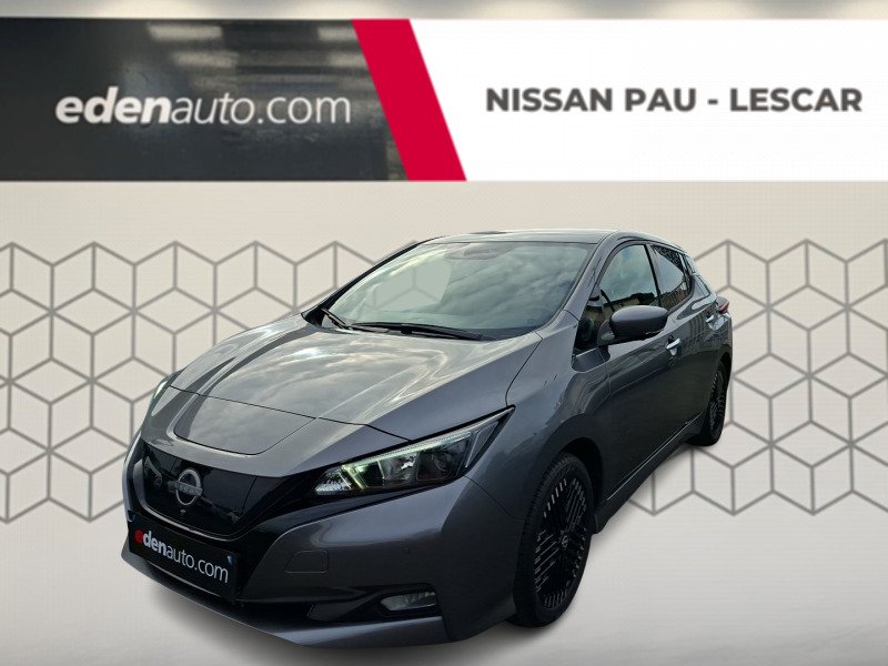 Nissan Leaf - Photo 1