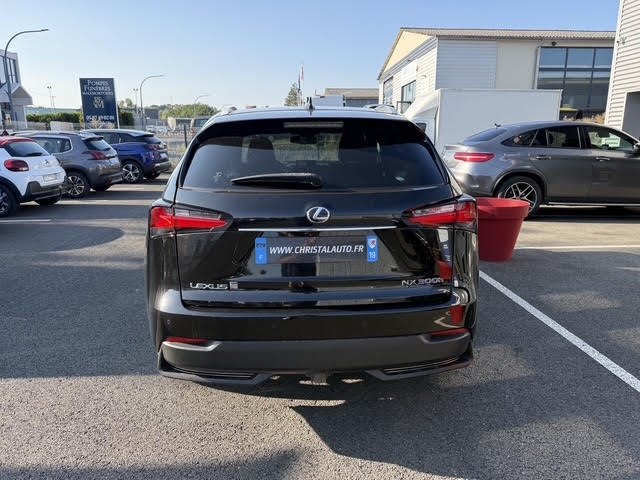 Lexus NX - Photo 5