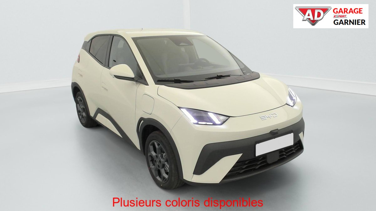BYD Dolphin - Photo 45