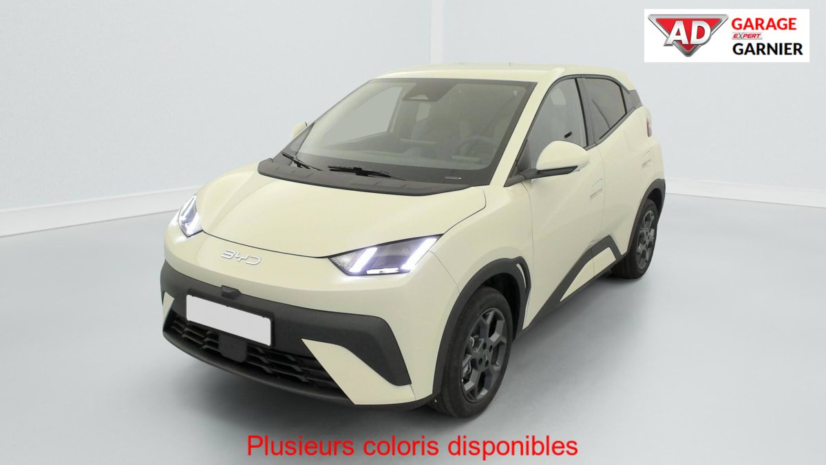 BYD Dolphin - Photo 47