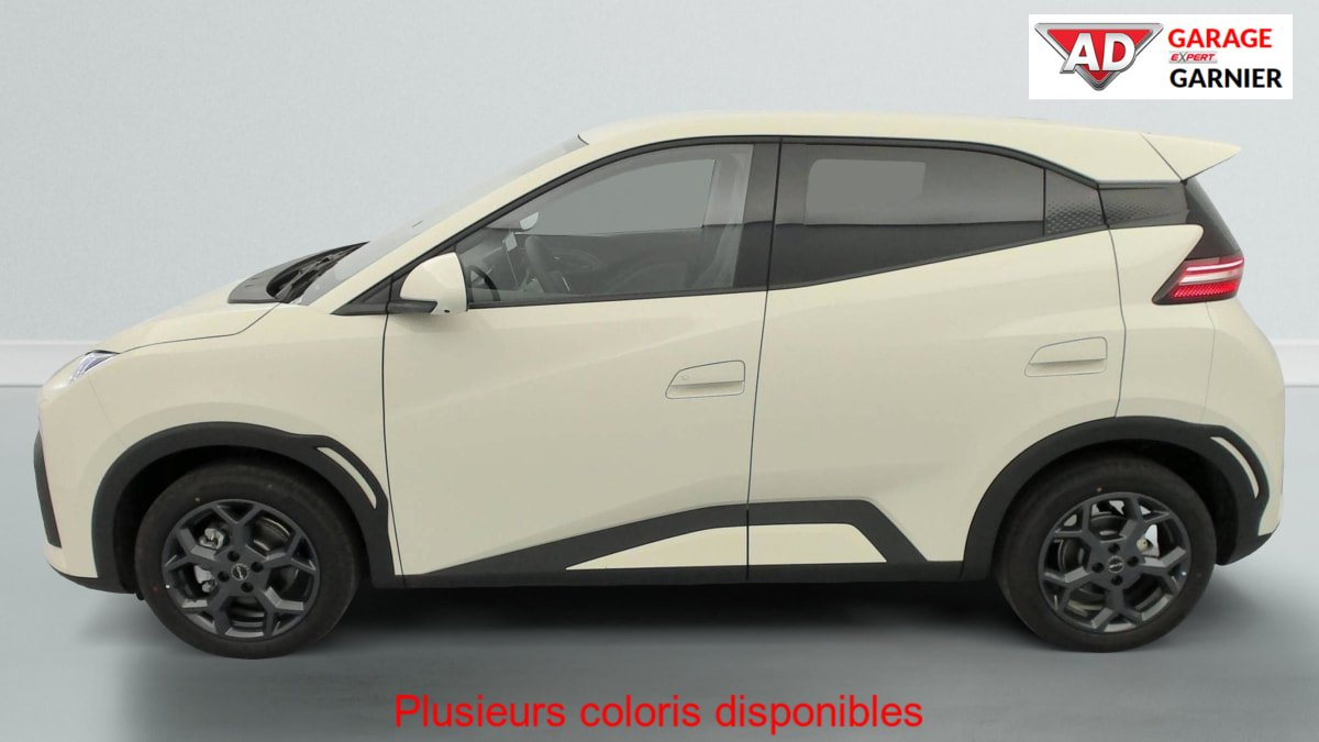 BYD Dolphin - Photo 48
