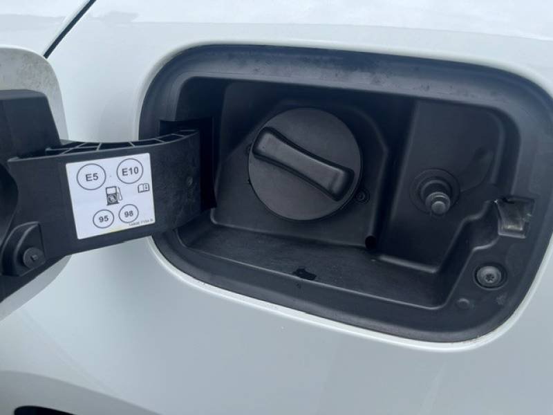 Renault Mégane - Photo 30