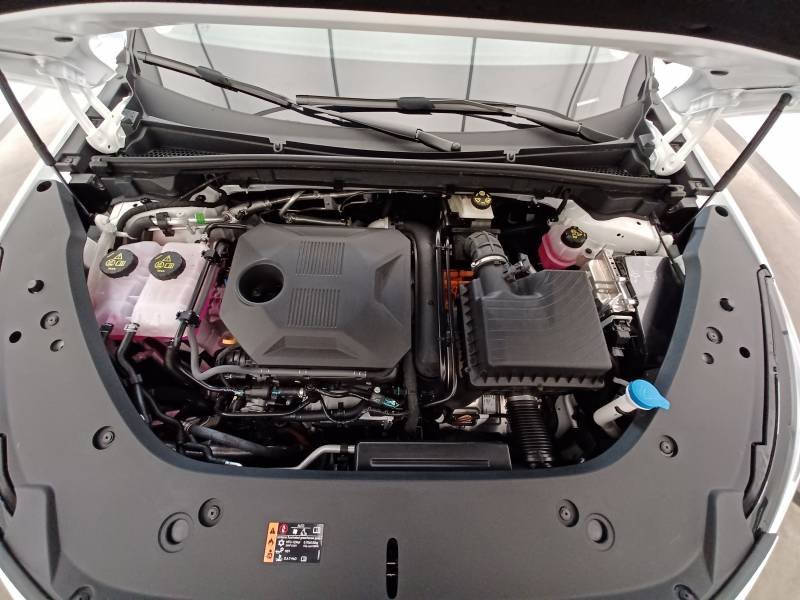MG EHS - Photo 11