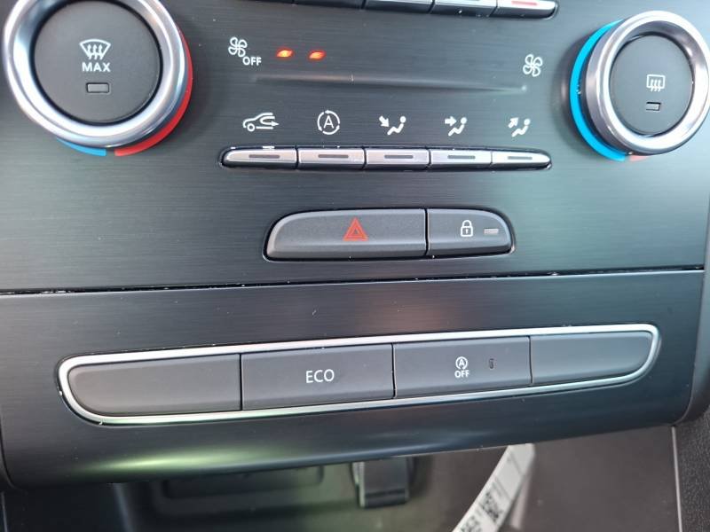 Renault Mégane - Photo 35