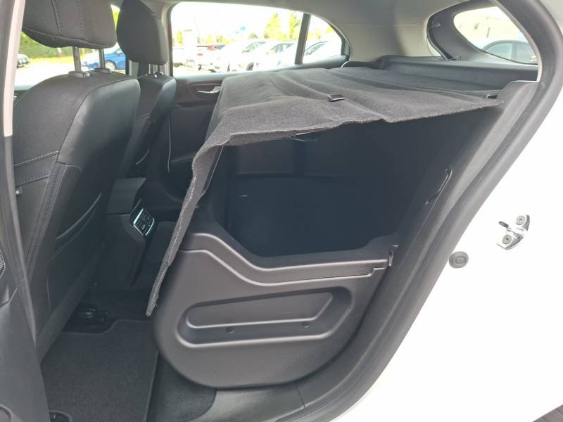 Renault Mégane - Photo 16