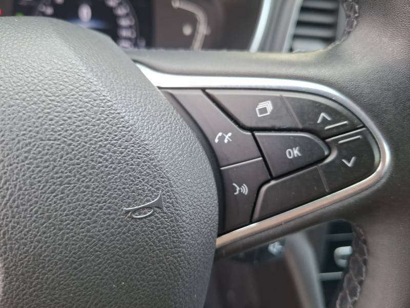 Renault Mégane - Photo 35