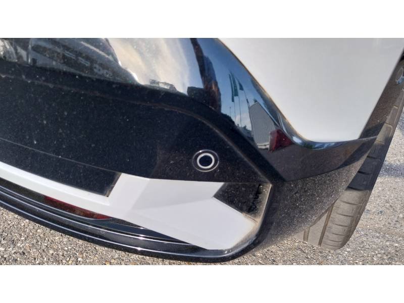 Renault Mégane - Photo 22