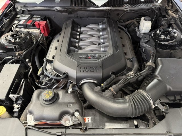 Ford Mustang - Photo 15