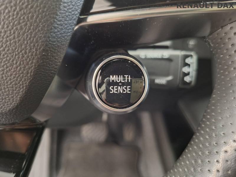 Renault Mégane - Photo 39