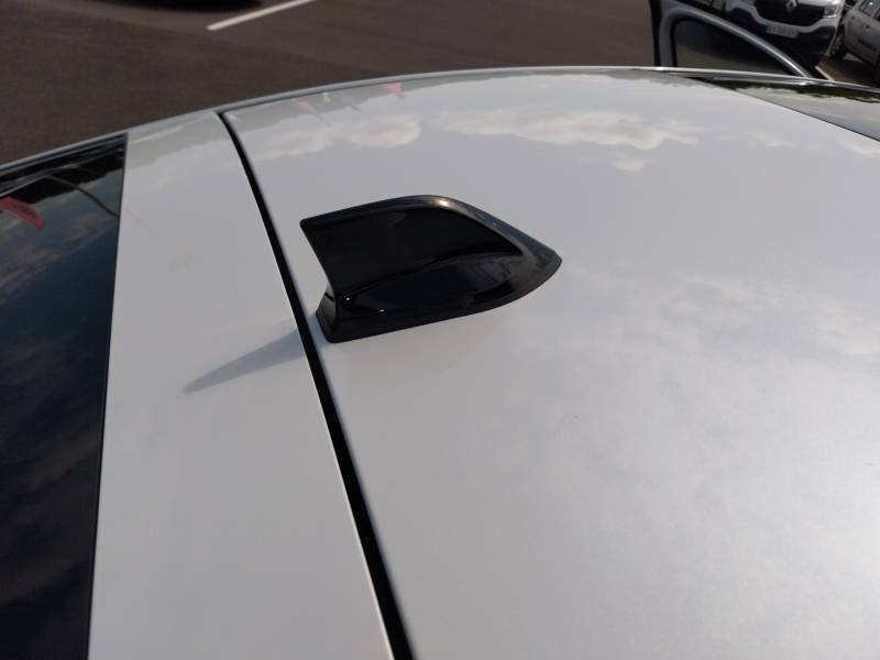 Renault Arkana - Photo 22
