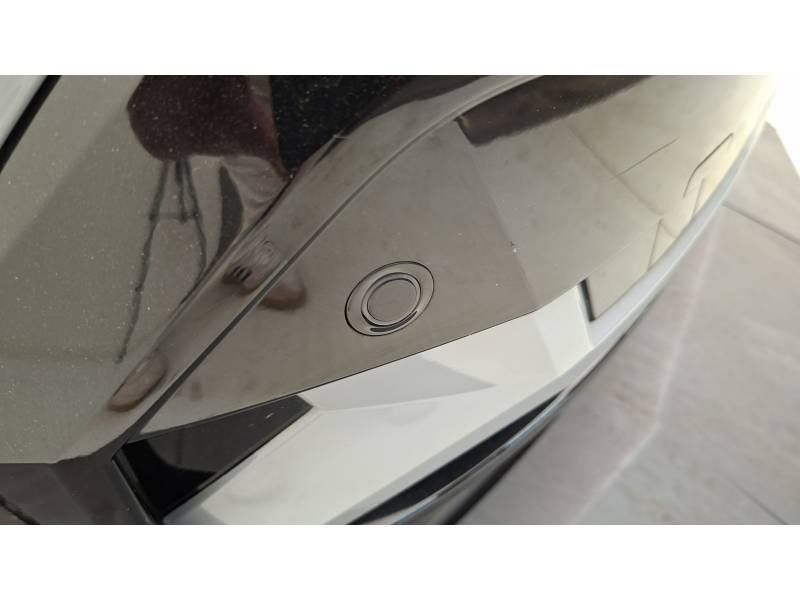 Renault Mégane - Photo 48
