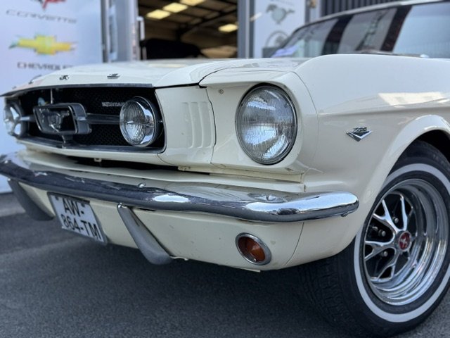 Ford Mustang - Photo 3