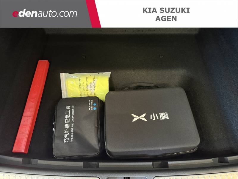Xpeng G9 - Photo 31