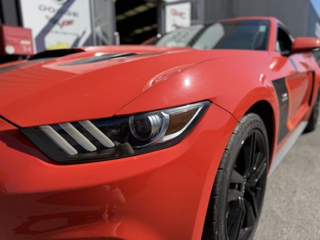 Ford Mustang - Photo 2