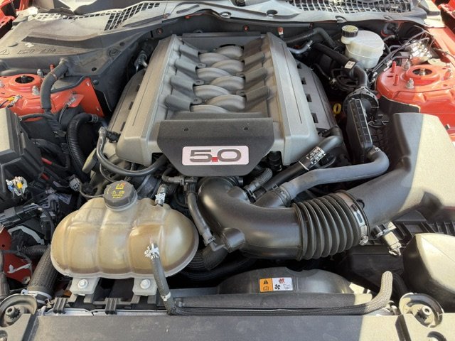 Ford Mustang - Photo 23