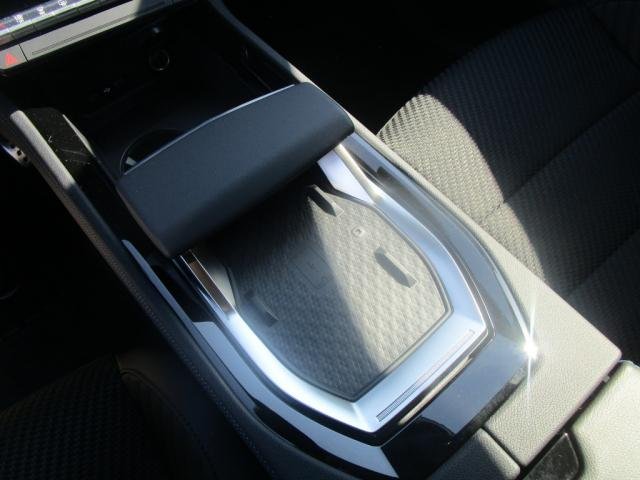 Renault Austral - Photo 17