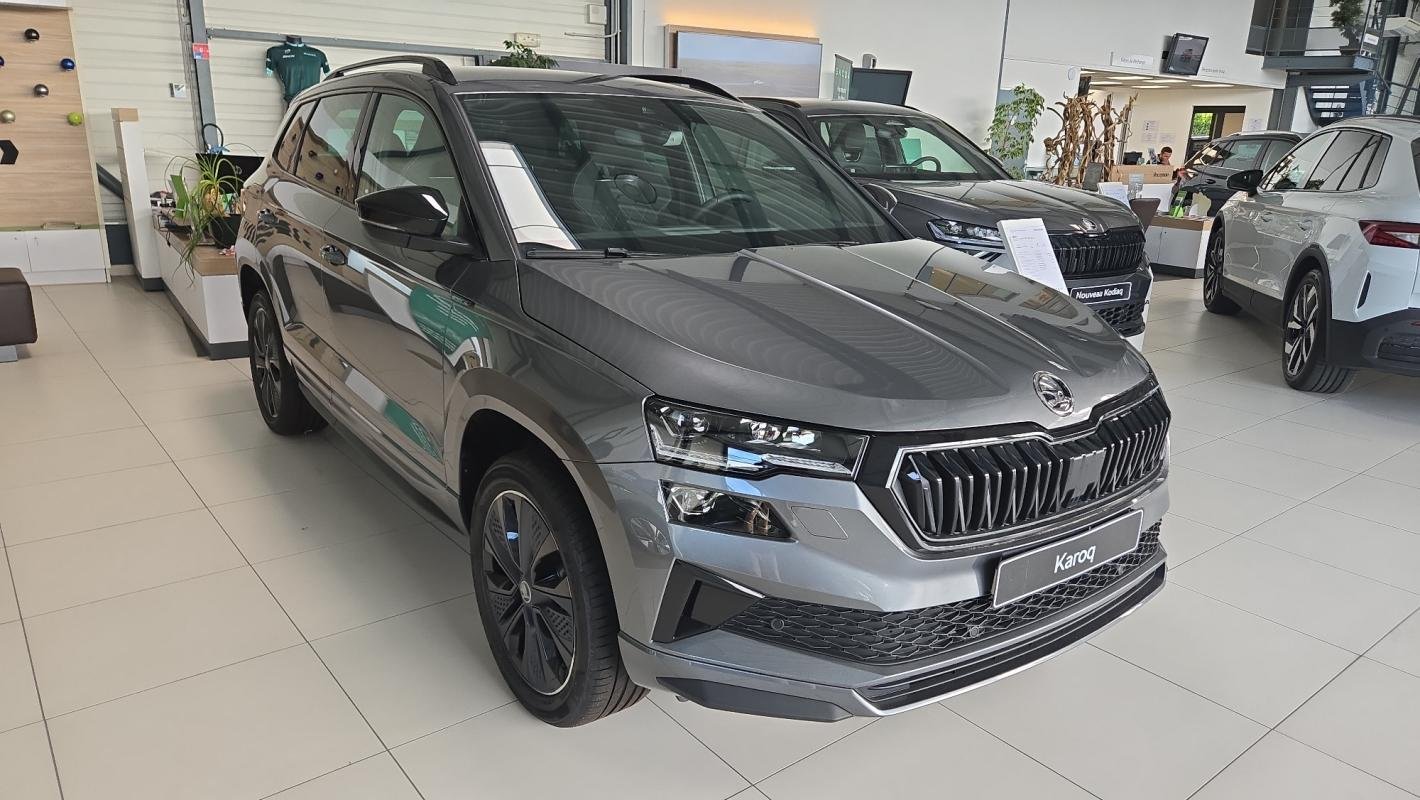 Skoda Karoq - Photo 1