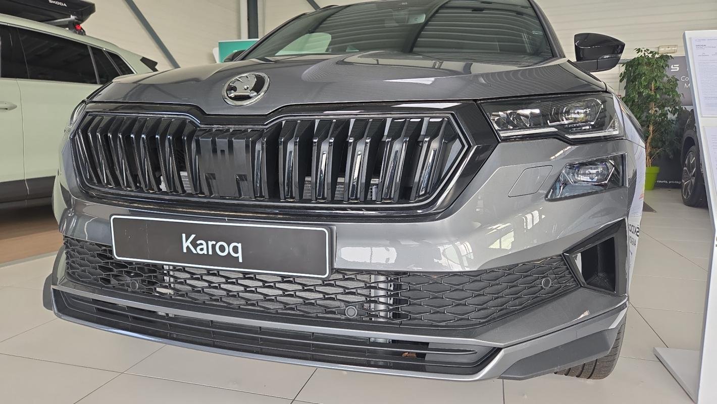 Skoda Karoq - Photo 18