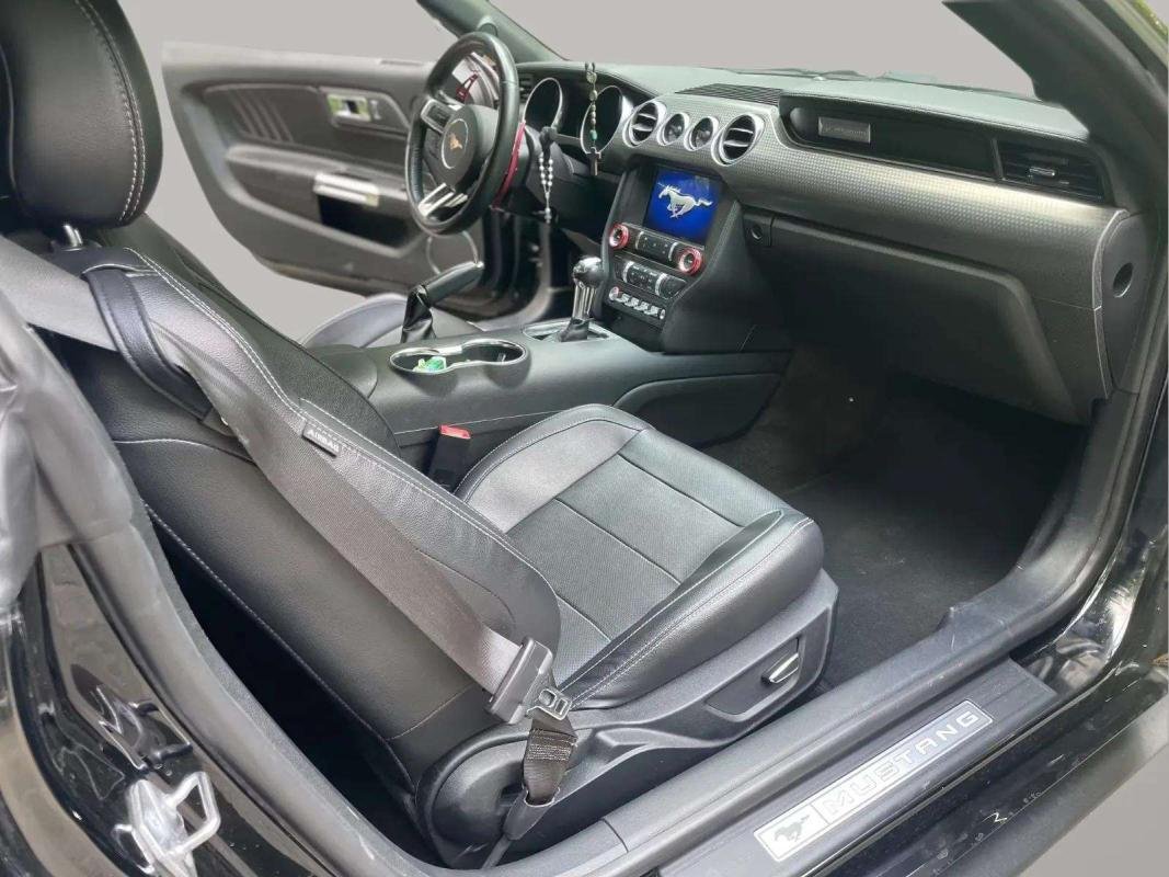Ford Mustang - Photo 9