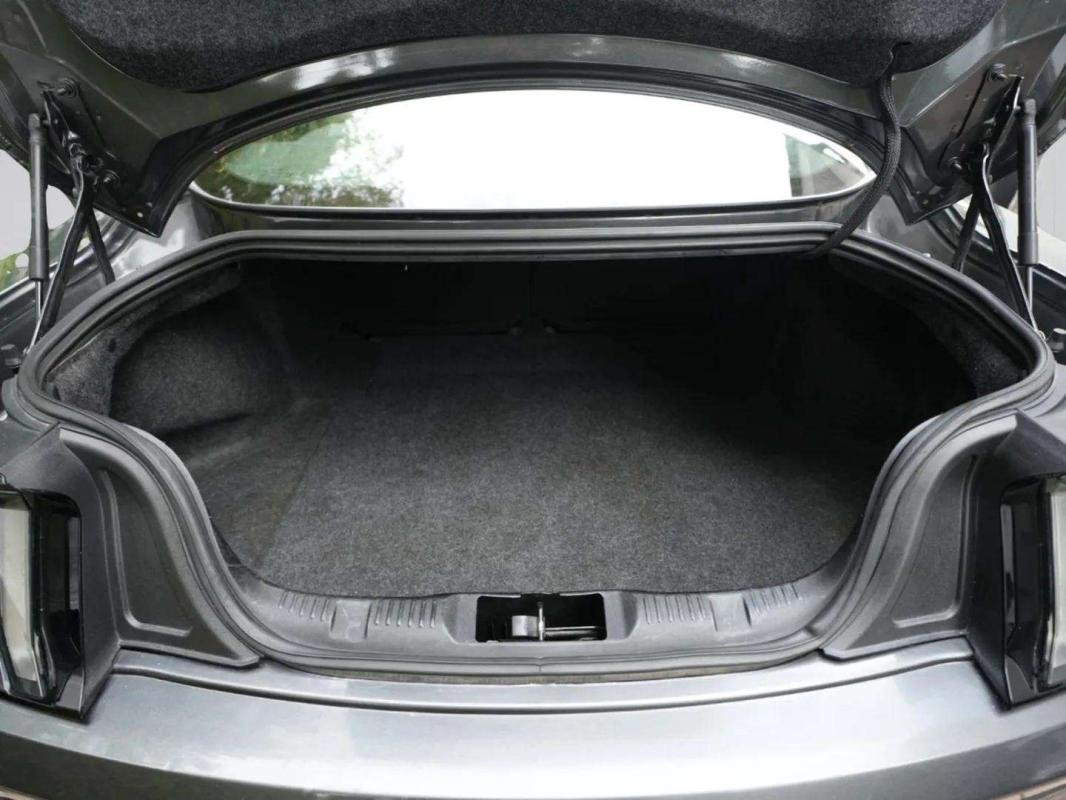 Ford Mustang - Photo 11