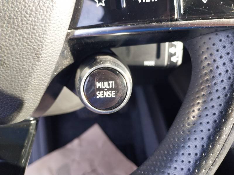 Renault Mégane - Photo 31