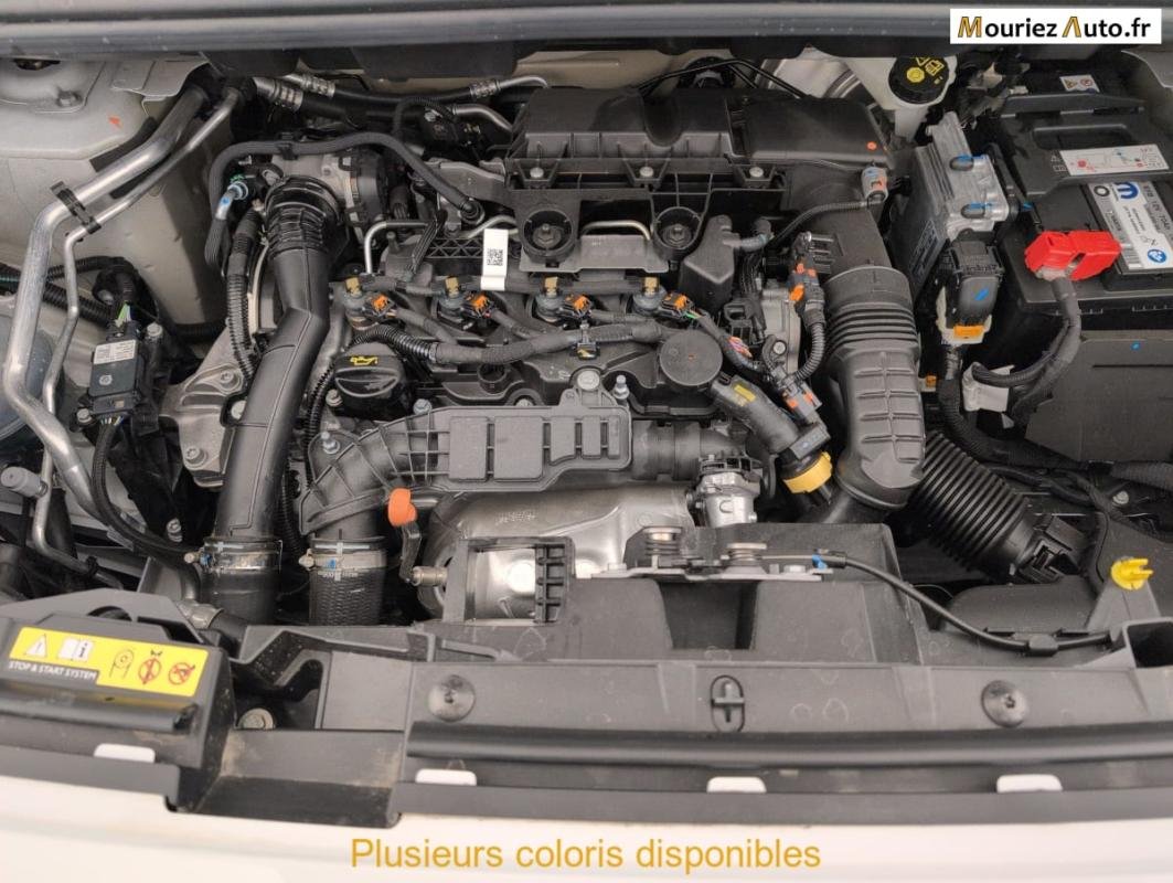 Citroën Berlingo - Photo 17