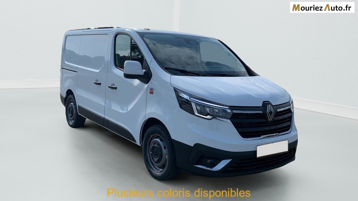 Renault Trafic - Photo 1