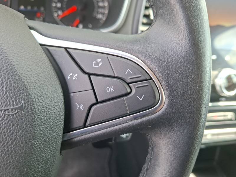 Renault Mégane - Photo 21