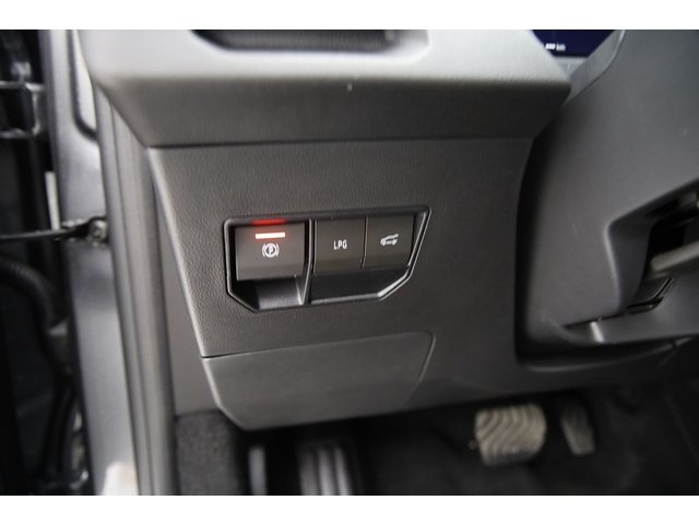 Dacia bigster - Photo 13
