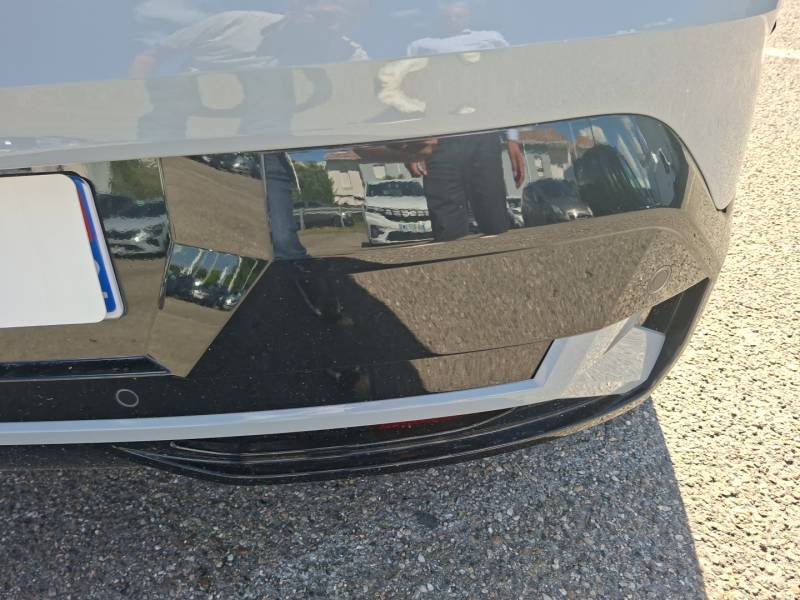 Renault Mégane - Photo 18