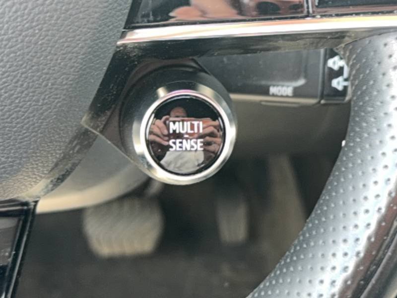 Renault Mégane - Photo 33
