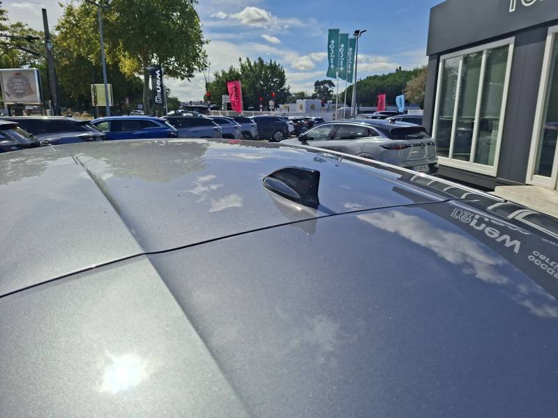 Renault Mégane - Photo 21