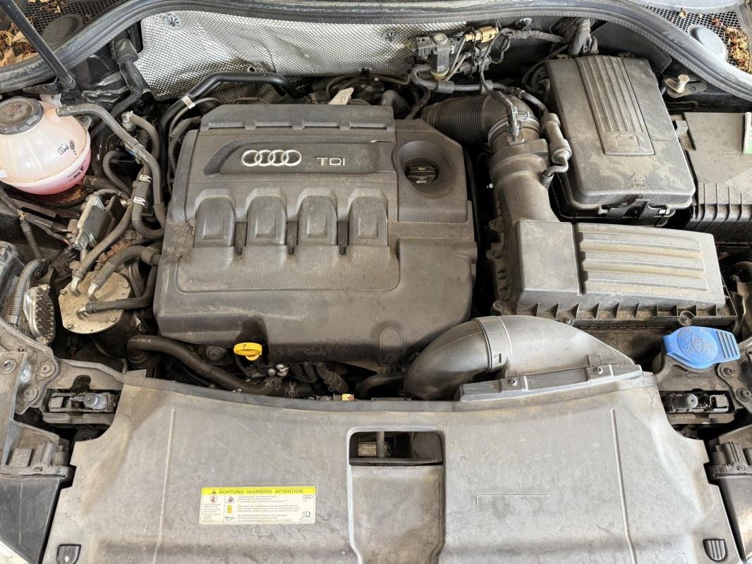 Audi Q3 - Photo 30