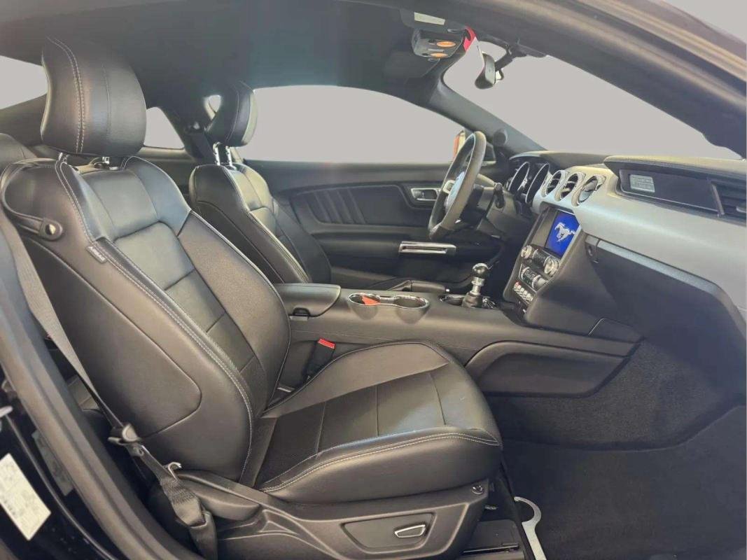 Ford Mustang - Photo 12