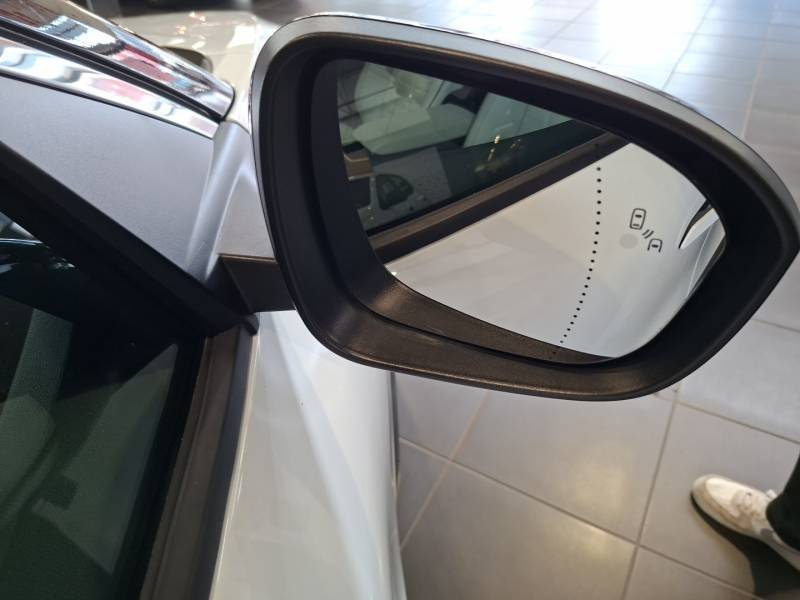 Renault Mégane - Photo 44