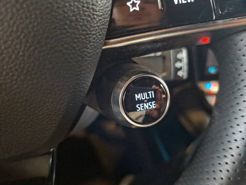 Renault Mégane - Photo 32