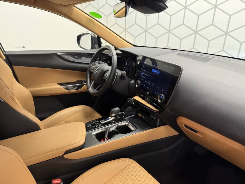 Lexus NX - Photo 12