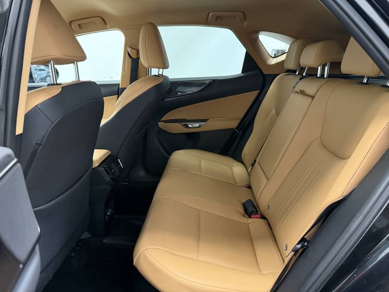 Lexus NX - Photo 13