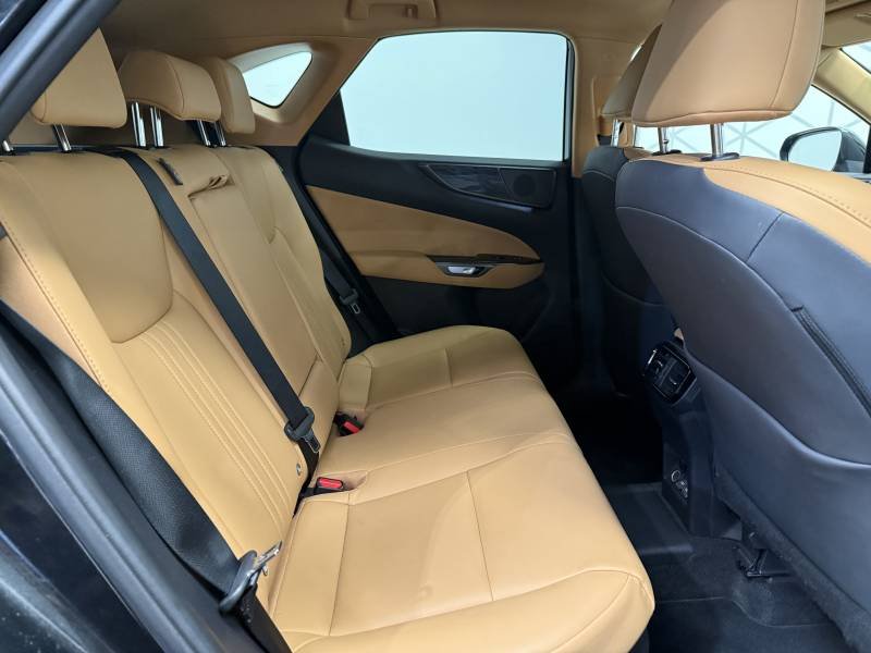 Lexus NX - Photo 23