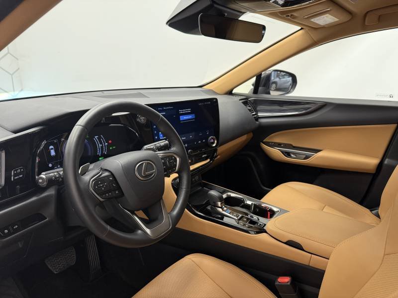 Lexus NX - Photo 10