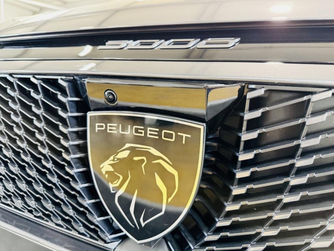 Peugeot 3008 - Photo 20