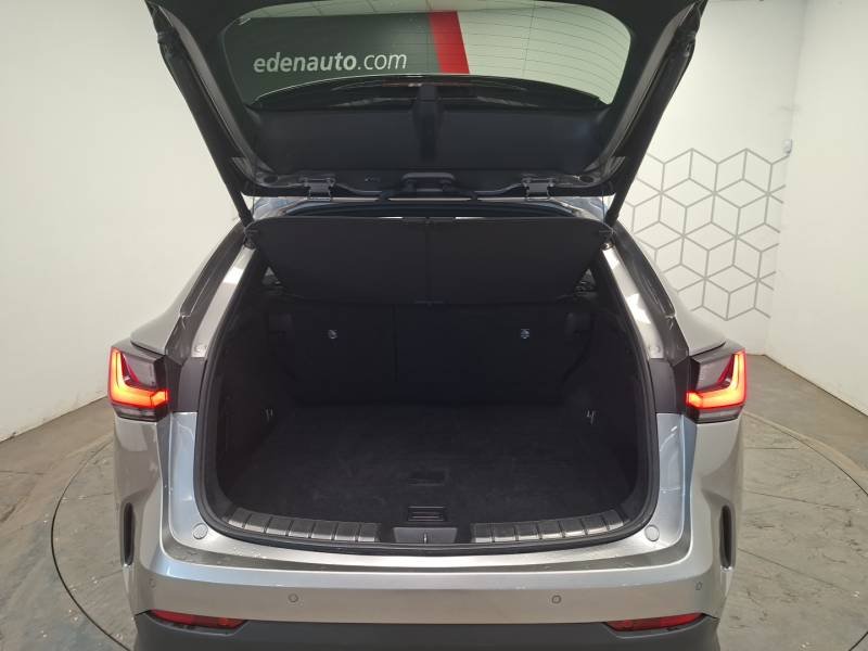 Lexus NX - Photo 19