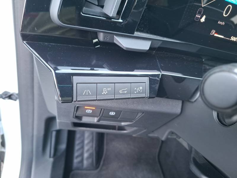 Renault Austral - Photo 42